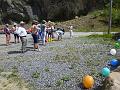 Chat. Bleu 2017_(203)